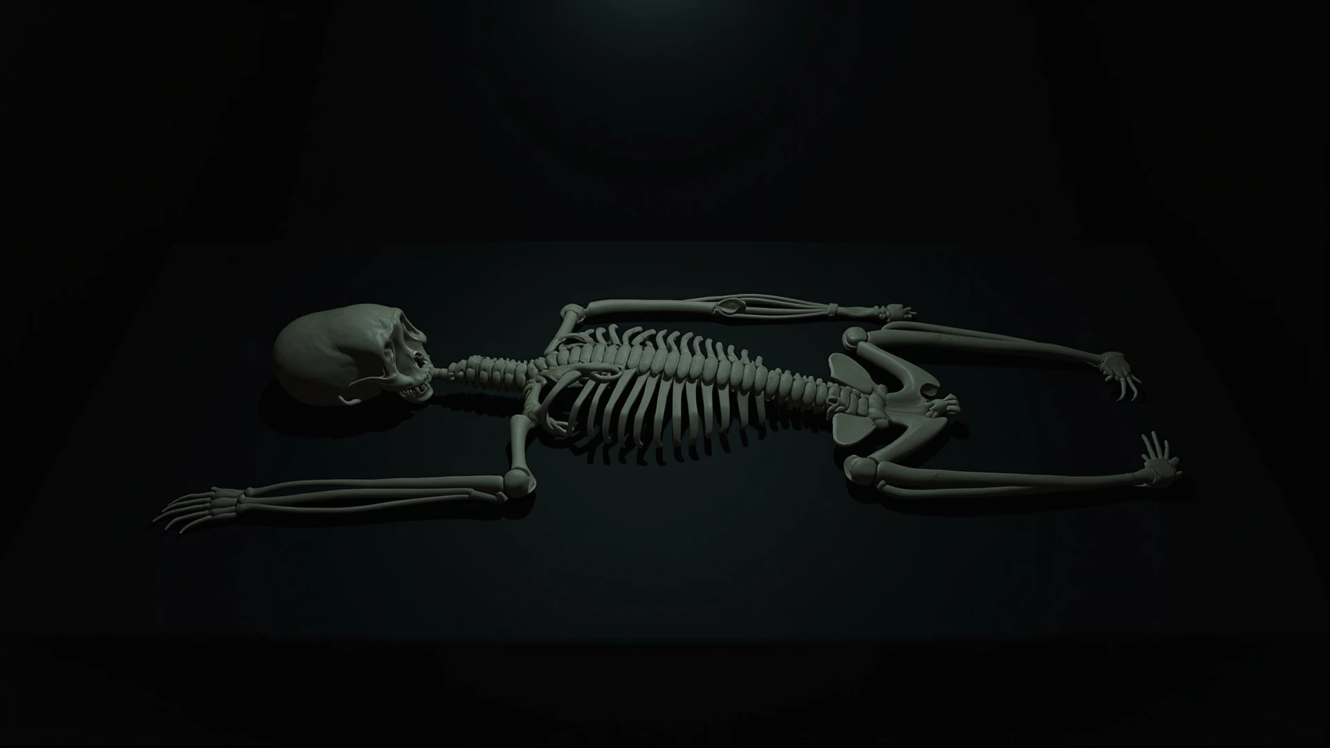 S1LK4RT shape, wavy color lines producing a silhouette image of a skeleton, lying in coffin, daisy, Black background, <lora:SilkArt:0.7>