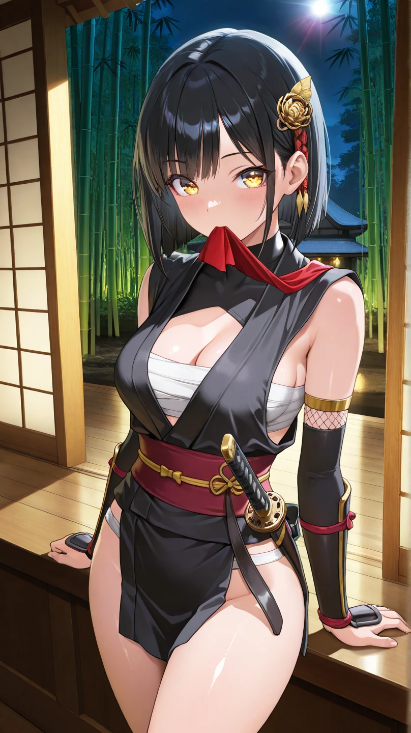 Ninja