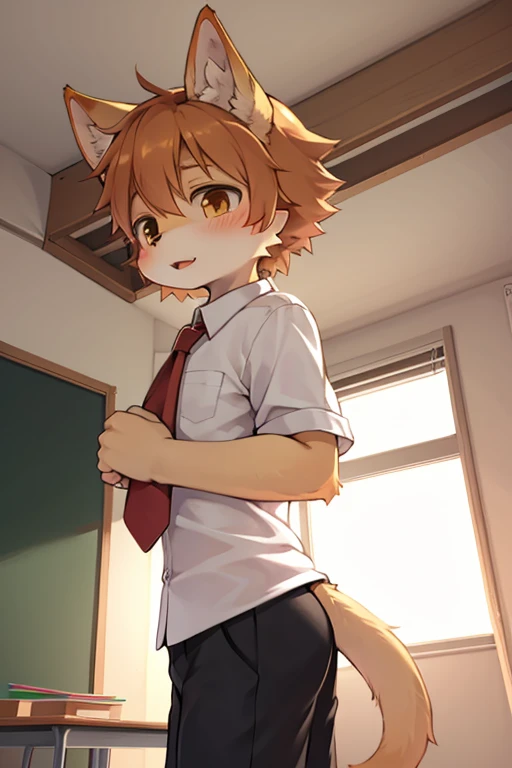 Kemoshota, dynamic angle, kindergarten boy, short height boy, tail, hound dog boy