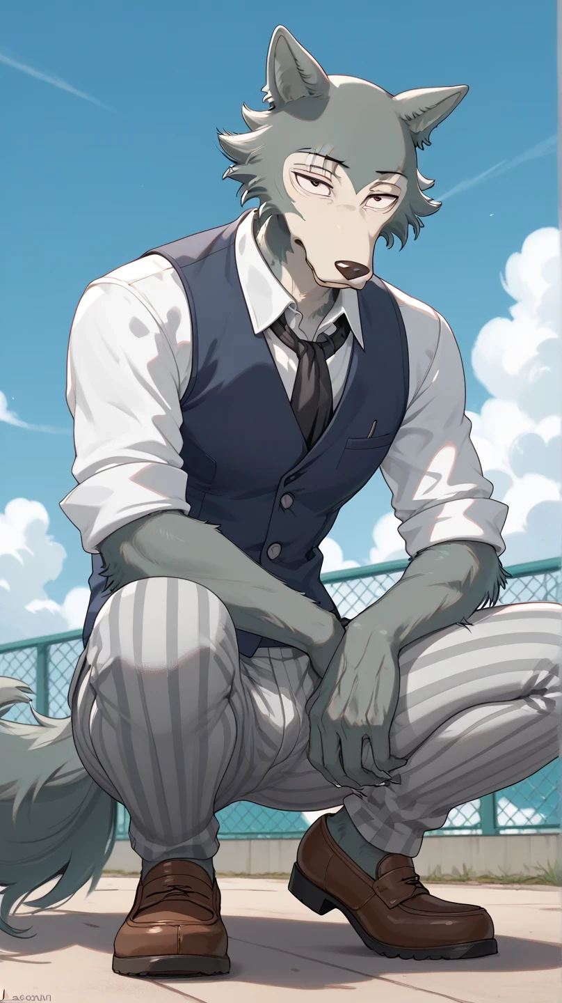 An antrine werewolf with black and gray fur, brown eyes, slim body, with three scars on his right eye and some other scars on his chest and back, with long black hair with gray highlights. Wearing a high school uniform with a gray shirt and a navy blue vest with light gray striped pants and a black tie , on the campus yard, blue sky , white clouds, furry, squatting, while squatting, Wolf tail , male gray male wolf, legoshi beastars, gray fur