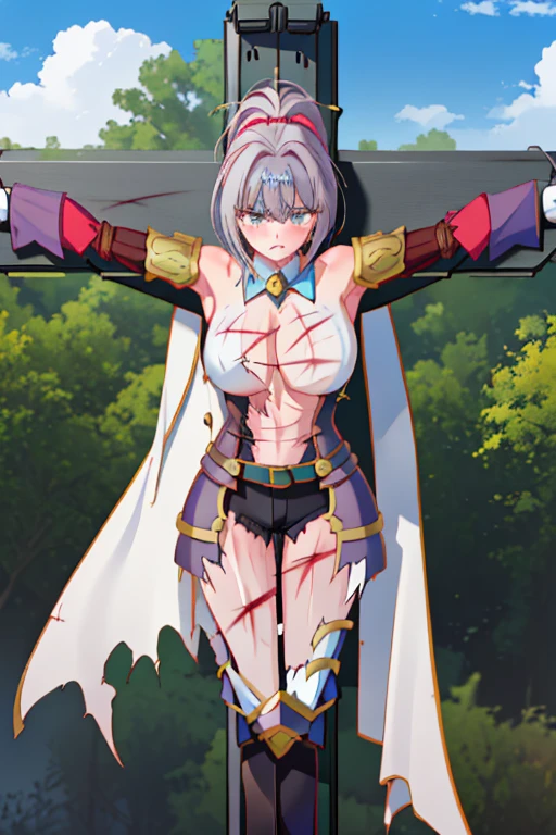 (masterpiece, Highest quality:1.2),Warrior \(dq3\), One girl, Red Armor, Long Hair, Curly Hair, Purple Hair, blue eyes, gloves, Loincloth, Winged Helmet, Red Armor, Holding a sword and a broken iron shield, (Brunette Messy Hair), (Crying face:1.3),(tears, Blood, Bruises on the face or body, Physical injuries, Damaged),Broken Costume,Thigh injury,Get down on one knee、Anime depiction、Being in the swamp、((Crucifixion:1.5))、Hands restrained、Scars on face、Wound on arm、Wound on the belly、wound on leg、傷口から出Blood、Kneel