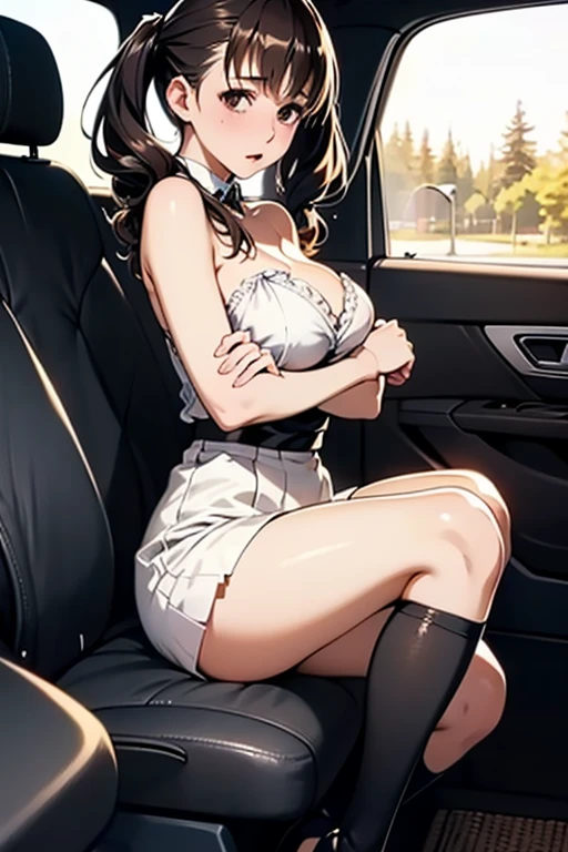 masterpiece, best quality, highres, st1, braid, hair ornament, black dress, hair flower, side slit, large breasts, long dress, sleeveless, <lora:shirayuki_tomoe_v1:0.7>, cowboy shot, vehicle interior, sitting, smile