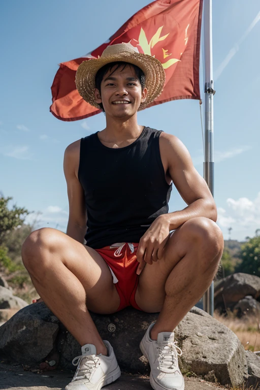 One piece,Luffy 