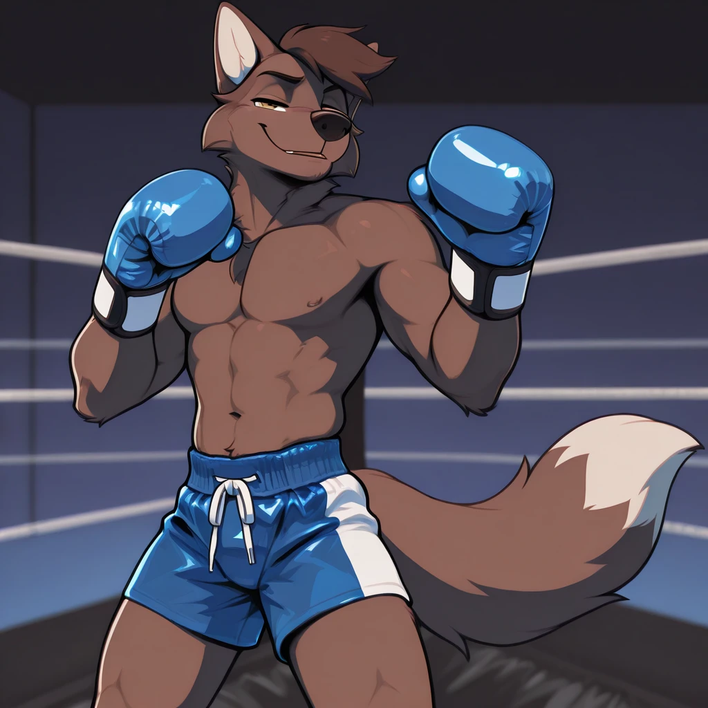 A wolf wearing motogp racing suit, sits on punchbag, started showing a real dick, straight up erects dick, moaning face, hold dick with boxing glove, cum explode