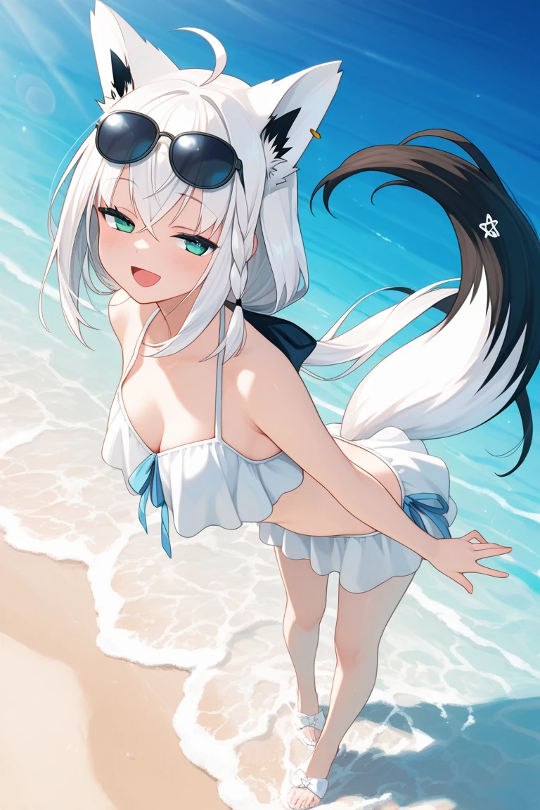 woman, solo, kemono, furry, detailed fur, beach, Silver wolf, Silver fluffy tail, big tail, silver medium ears, fluffy body, (flat chest), (Loli), (young), Sun horizon, orange sky light, blue eyes, blue bikini, flower in hair, standing