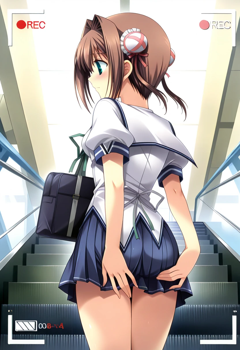 (1) Peeking at the panties from under the back of a girl climbing the stairs.
(2) her skirt is too short、You can almost see my white pants.
(3) knit vest and miniskirt、Wearing a uniform with loose socks.
(4) her hair is long brown.
(5) she looks back and smiles.
(6) The location is the stairs of the station.