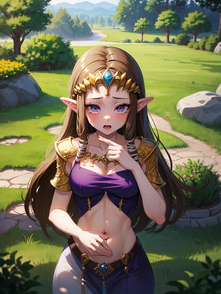((Angry expression)),((((topless)))),((((POV)))),((1 boy, pov hands, grab breasts)),(()),(()).((((Golden hair ornament)))),(((Big Breasts))),(((Long Hair)))),((Metal jewelry in hair)),((((((Exposed shoulders)))))),Princess Zelda, ((highest quality)),,(Open your mouth) ,(White Bikini)),((wet)),Brown Hair,((Embarrassed look)),Blushing,((Open your eyes)), ((highest quality)), (Very detailed),((Dark brown hair)),(((Crying)),Nintendo, The Legend of Zelda),((Surprised)) face,Blushing,((alone)), ((highest quality)), (Very detailed), ,