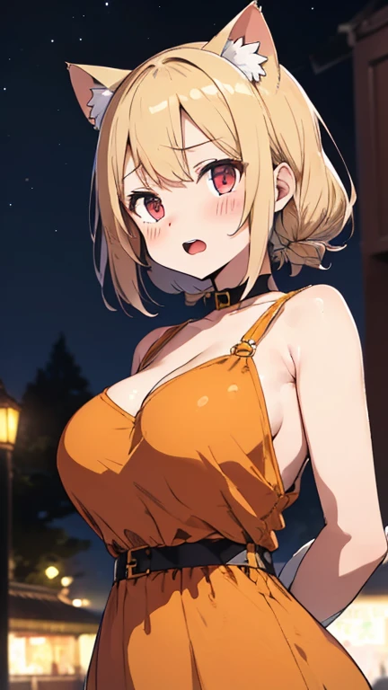 masterpiece, best quality, 1girl, mii, blonde hair, short hair, blue eyes, necklace, dark skin, bikini, large breasts, upper body, open mouth, smile, hand on hip, smile, full body, standing, contrapposto, looking at viewer, cyberpunk, solo, neon light, night, cyberpunk city background
<lora:Mii:1>