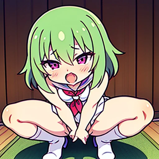 masterpiece, best quality,ultra detail,manga,comics,yotsuba,green hair, quad tails, green eyes, masterpiece, expensive quality, very_expensive_solve, big_file size, full color,(completely nude:1.2),pussy,niplles,vaginal sex,