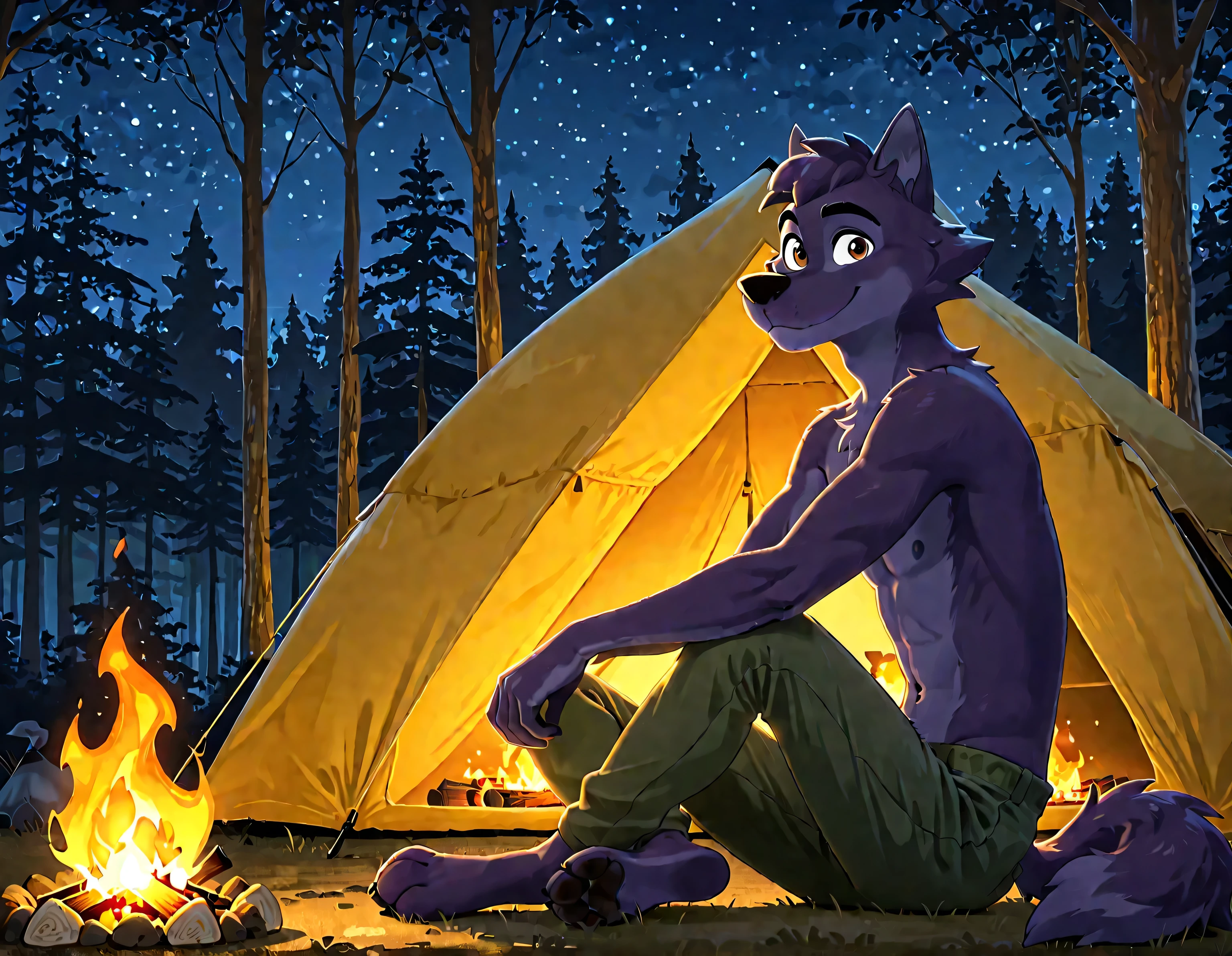 Lupin, dark purple fur, brown eyes, wolf, anthro, male, solo, half body, smile, high quality, night, forest, camping, tent, campfire, looking at viewer, sitting, pants