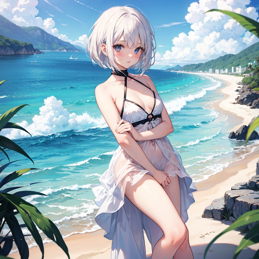 High resolution, masterpiece, accurate, Highest quality, Winner of numerous awards, High-resolution model, 
Silver Hair, Wet Hair, Long Hair, Bun ponytail, 
slender、
Seaside, 
Butterfly Hair Ornament, Crystal Earrings, 
Swimwear, Simple bikini, Butterfly anklet standing illustration, whole body
