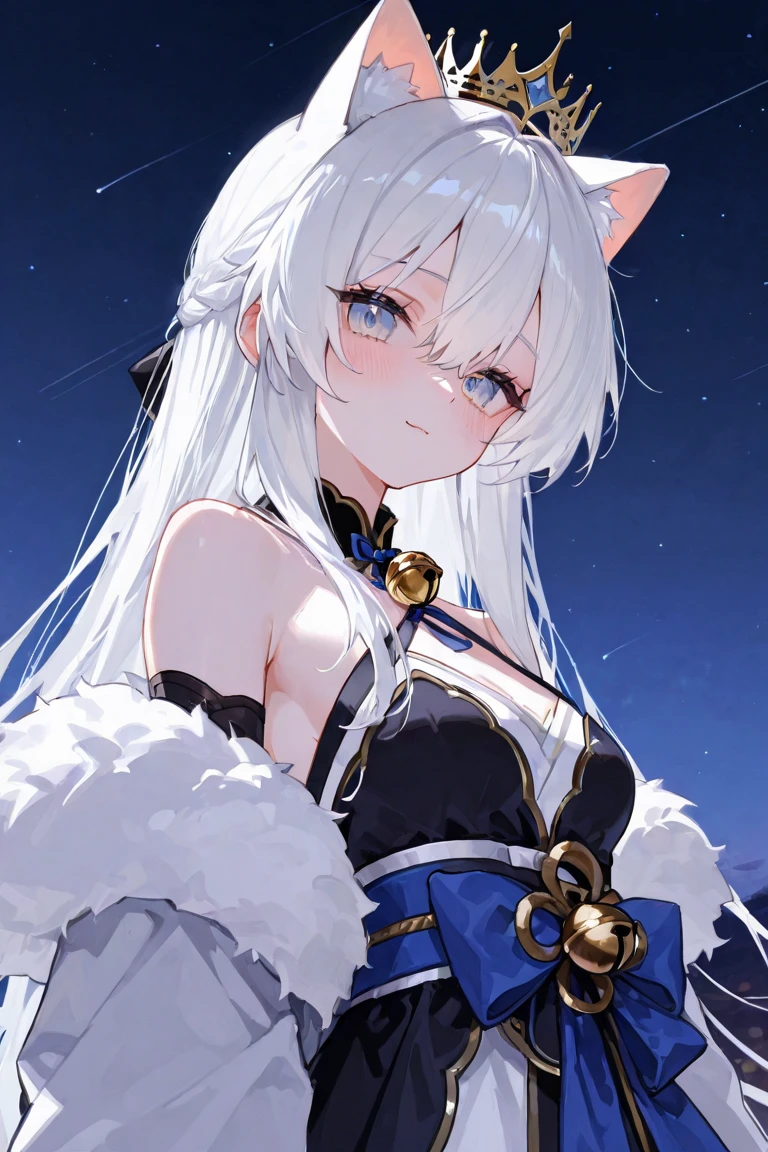beautiful lighting、perfect lightning bolt、realistic shadow、Detailed skin、ultra-detailliert、detailed faces and eyes、Realistic eyes、Sharp pupils、sideshot、blurry backround、20 year old girl alone、shinny skin, snow leopard tail、white hair、blue colored eyes、snow leopard ears、long hair、Smile with open mouth, Dark clothing
