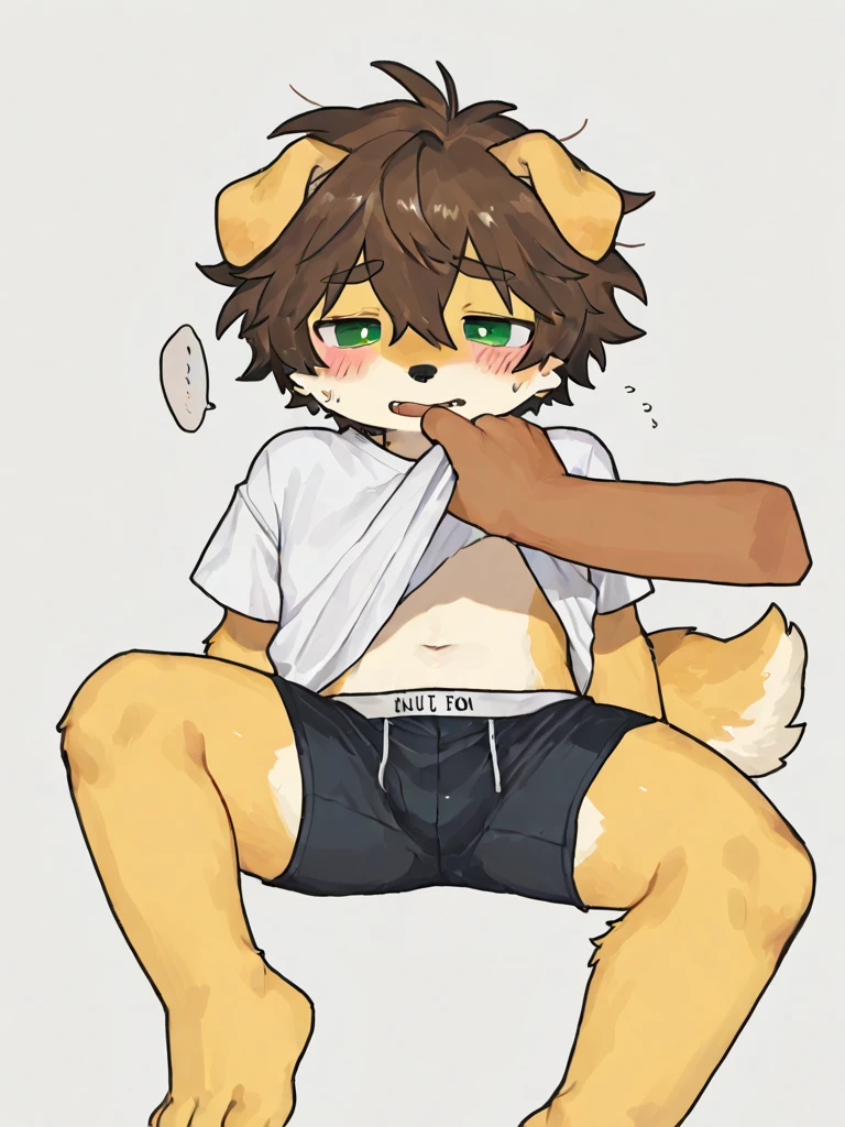 Kemoshota Boy， boy，Male child，Kemoro Girls，girl，Female child，Brothers and sisters，3 people，3，Get close, Dynamic Angle, Sticking out tongue,Naked，Naked，Completely naked，Chemotin，獣のChin，Dog-like chinchin，whole body，Embarrassed expression，Feeling embarrassed，Exposed，In public，Everyone is watching，To be photographed，Spectators，Spectators，Sole，Pad，Fully nude，Free Chin，Barely，Fully visible，Chin，動物のChin，barefoot， 　:3, foot hits three toes,Wild ，，humiliation，Humiliation，shame，Sit on all fours like a dog，Turn your crotch towards you，Exhibitionism，Playing，Walk on all fours like an animal，very wide shot，fetal position/
kneeling, looking down, hands on floor，kneeling, looking down,
hands on floor，all fours，