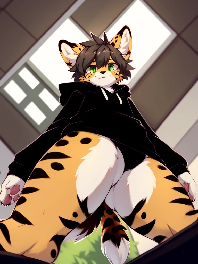author:zackary911, (kawa:1.1), e621, Tiger 1, Humanity, Female boys, 独奏, Skinny black hoodie, furred, Look upwards into perspective, Perspective from childhood, (He was looking down at the small), curved thighs, enormous thigh, Beep, tigre, Frafinil, You tuber, Tiger with triangle details, Black outfit with red detailing V-neck, Tiger with very black ears, Puple eyes,Big belly plus six-pack abs,colours,The left eye is purple,The right eye is orange,limp,Gray hair,Tiger detail on the body,Very tight panties,by Zackary911,(Coffee soda:1.1),Hioshiru,Zackary911,a tiger,Humanity,Female boys,独奏,tight black hoodie clothing,furred,Look up and see,Perspective from childhood,(He was looking down at the small),curved thighs,enormous thigh,Beep, Tiger-1 Flafinil,Black outfit with red detailing V-neck, , limp, Tiger detail on the body, Very tight panties, Slum Brazil in window background, Feminine and masculine scene bisexual style, Clothes written by girls,Brazilian,Brazilian,???? 32 cm under panties。