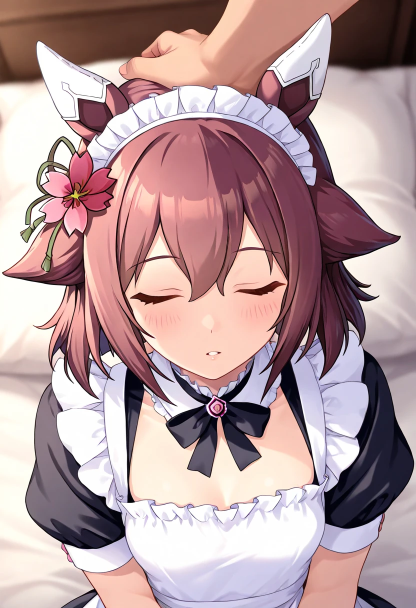 masterpiece, best quality, astolfost3, hair bow, hair ribbon, black dress, buttons, wing collar, black bowtie, long sleeves, juliet sleeves, black gloves, pantyhose, bed, seiza, (holding carrot:1.4), closed eyes, blushing, open mouth, pained expression <lora:fate_astolfosaber_stage3-10:1>