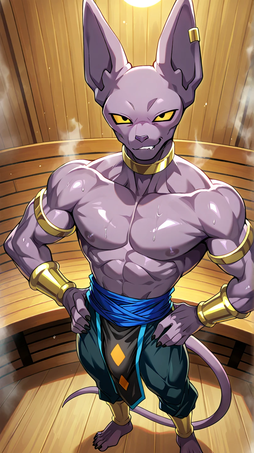 Bills, beerus, Dragon Ball Super, purple cat-like humanoid, skinny, muscular, ABS, (detailed:1.3), prominent pectorals, male nipples, naked, male, uncut penis, smiling mischievously while having gay anal sex with another muscular male human character, background of a beach