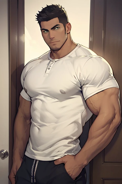 Male, black hair, hair parted in the middle, a scar on the right cheek, brown eyes,  shirt, muscular, large chest Wear glasses