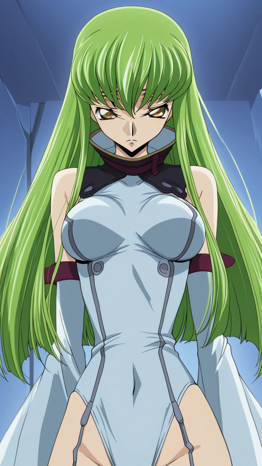 zPDXL, source_anime BREAK
gobuko,
badend bodysuit, green badend,
expressionless,
cowboy shot, standing at attention, awaiting orders,
indoors <lora:gobuko-ponyxl-kohya3-000007:0.8> <lora:bad-end-ot4-006:0.8>