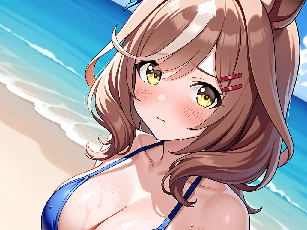 (masterpiece, best quality), outdoors, beach, standing, sunny, sweat, smirk, looking at viewer, pink bikini bottom, frills, side tie bikini, <lora:Kim Gaeul:.8>, fwkim, large breasts