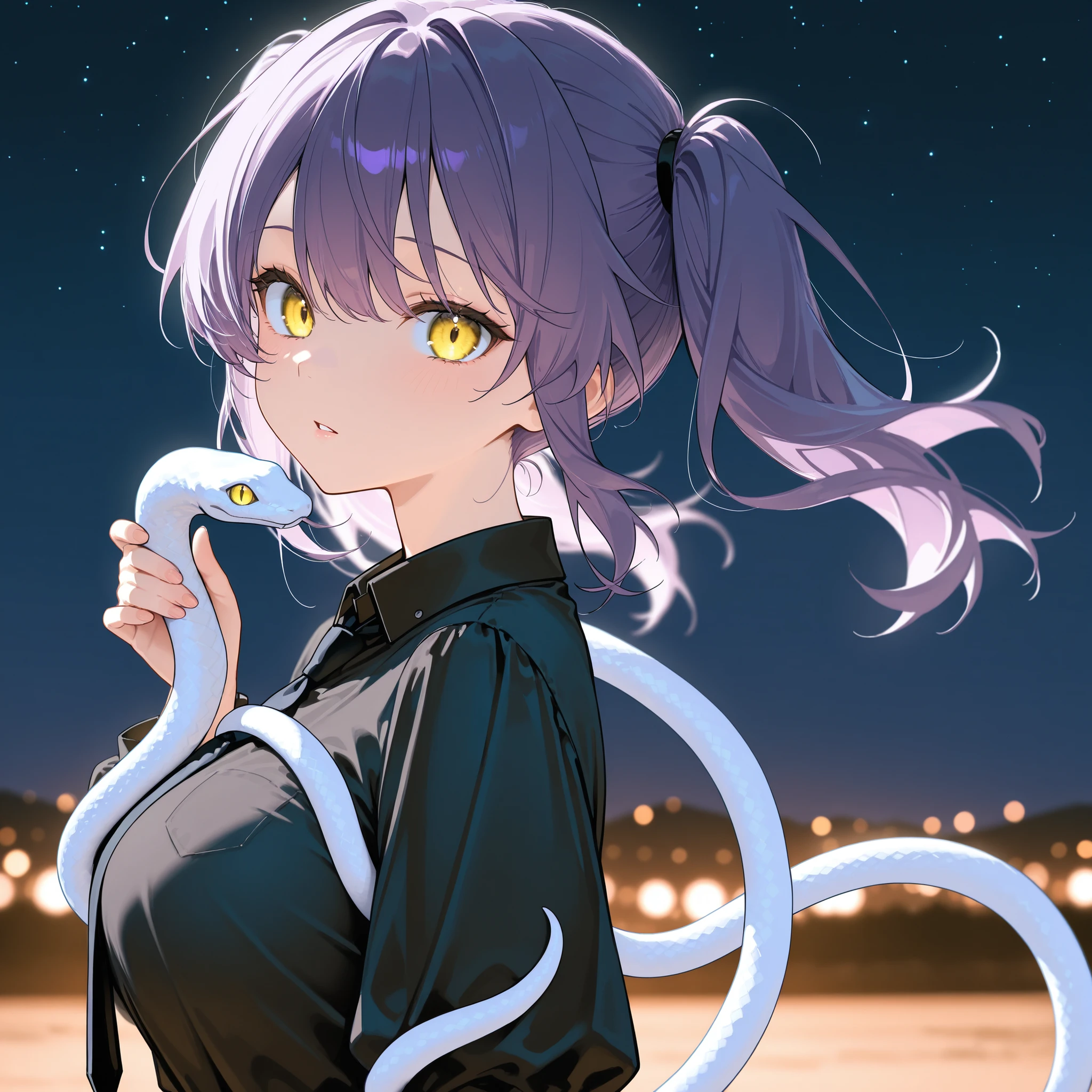 score_9, score_8_up, score_7_up, masterpiece, best quality, detailed face, 1 girl, solo, beautiful, big chest, slender body, mature, light makeup, adorable, sharp eyes, slightly parted lips,
Medium hair, purple hair, high twintail, loose tied hair, yellow eyes, black collared shirt, black necktie, long puffy sleeves, holding snake, Outdoor background, starry sky, windy, hair flow, night, depth of field, bloom, soft lighting, best composition, looking at viewer, from the front, from the side, dynamic, character focus,