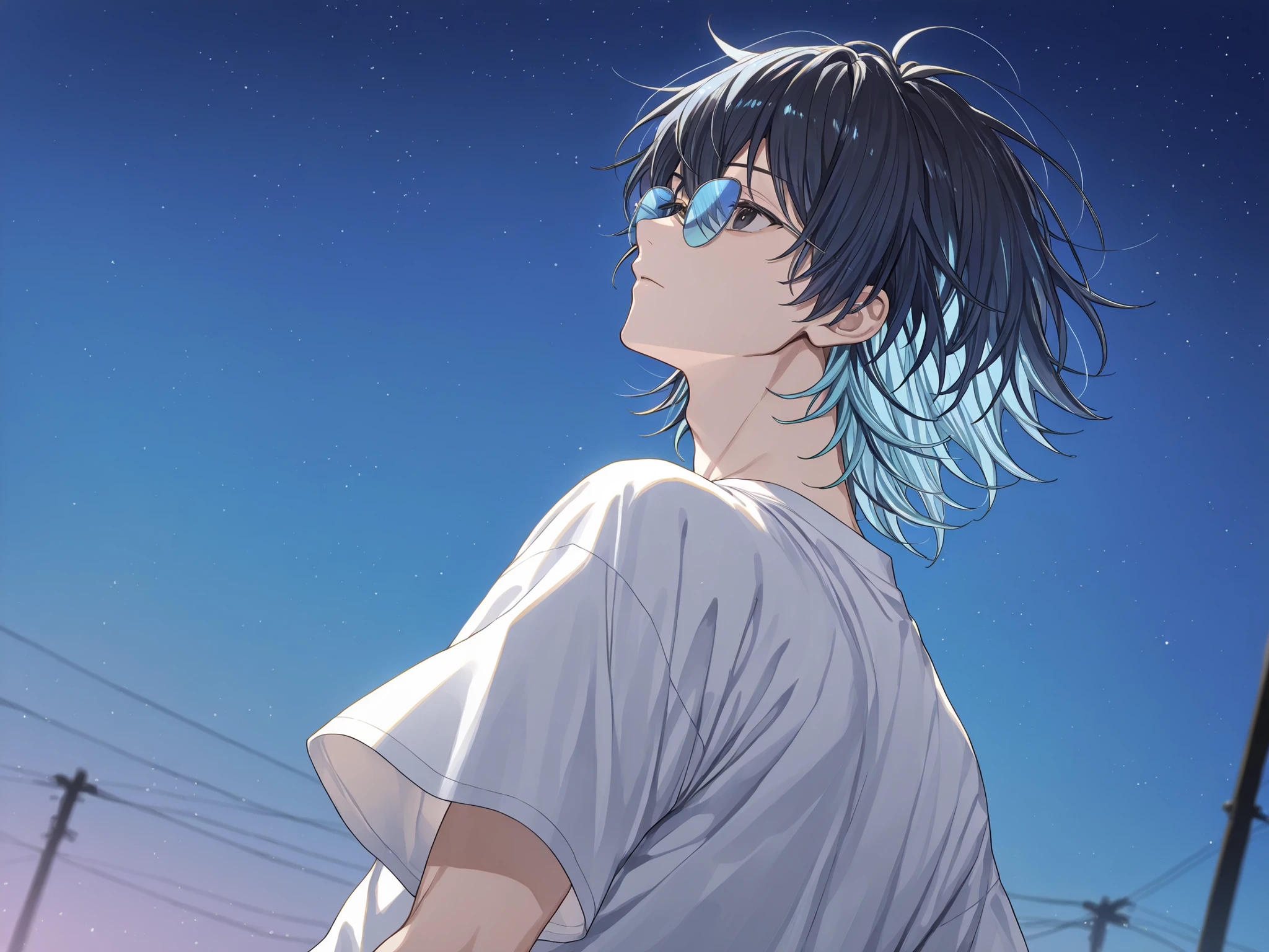 ((solo, anime))、(( male))、black eyes、2 color hair、dark haired、Blue hair、Black-Blue、hair is a mess、upper body、facing up、Large white T-shirt、Light Blue Sunglasses、unmotivated、Back view、distant angle、The sky is high、night、Moonlight，big month、