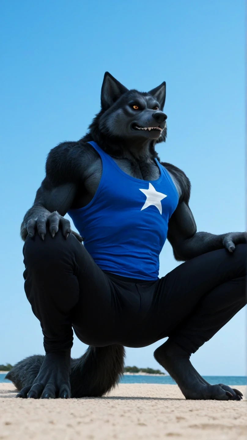 Male black werewolf, blue tank top, white star print, furry,  squatting in the front, squatting , on the outside, cuerpo completo, wolf tail , looking at the spectator, Dark black fur, amber eyes , anthropomorphic wolf, in front al espectador , in front, vista frontal , Ripped and tight pants, on the beach,  sky blue, Blue Sea,  sunny day, clawed feet, male werewolf, seen from below, perspective from below 