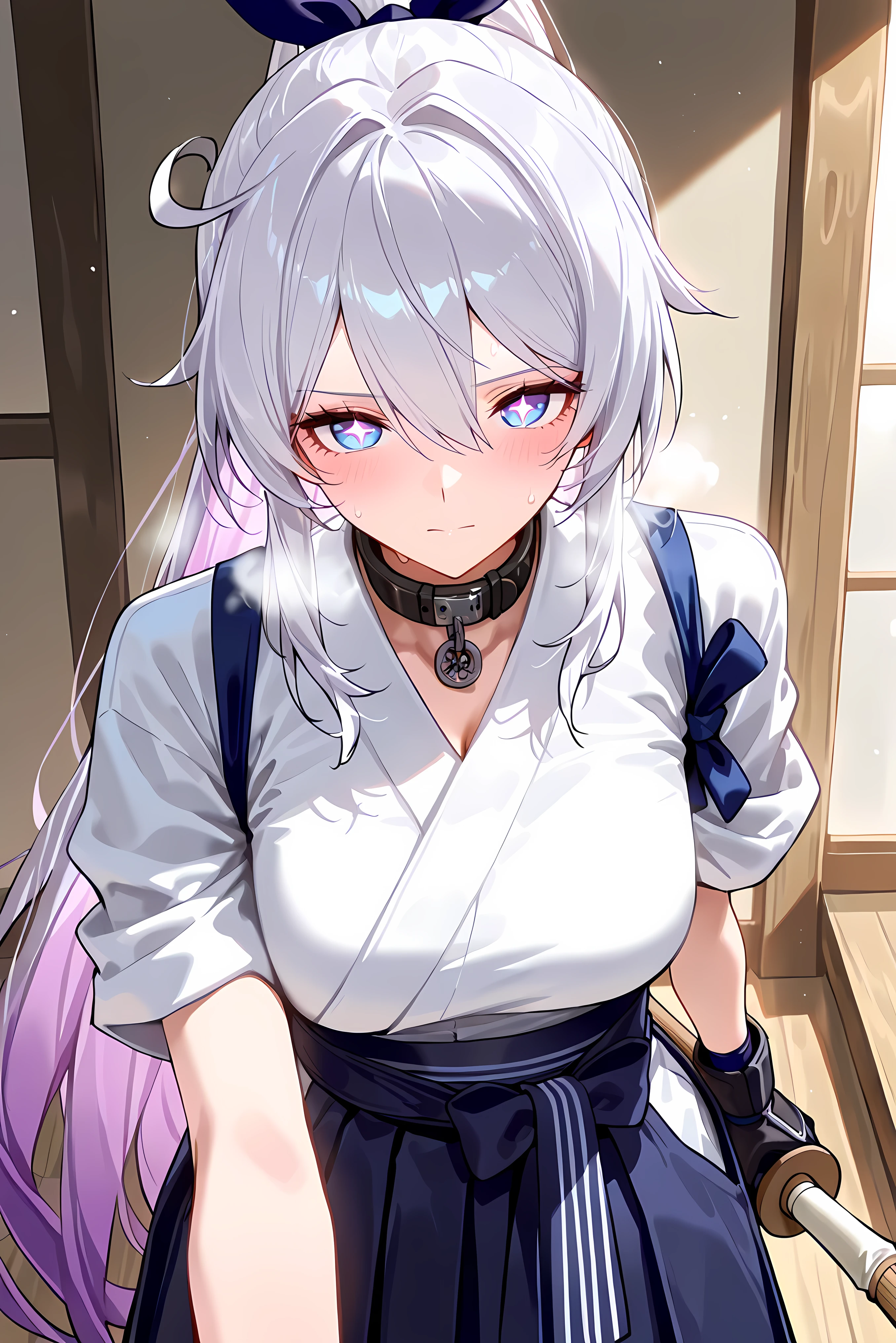 score_9, score_8_up, score_7_up, masterpiece, best quality, very aesthetic, absurdres, tunning image, attractive image, 1girl, adult grown woman, solo, kiana kaslana \(honkai impact 3rd\), herrscher of finality, white hair, ahego, high ponytail, long hair, blue eyes, purple pupils, symbol-shaped pupils, +_+, medium breasts, heavy breathing, closed mouth, masterpiece,best quality,amazing quality, ero404, alternate costume, white kendo gi top, navy hakama, shinai bamboo sword carried casually, protective kote gloves tucked under arm, light sweat on collar, ribbon tied loosely around waist, subtle aura of determination