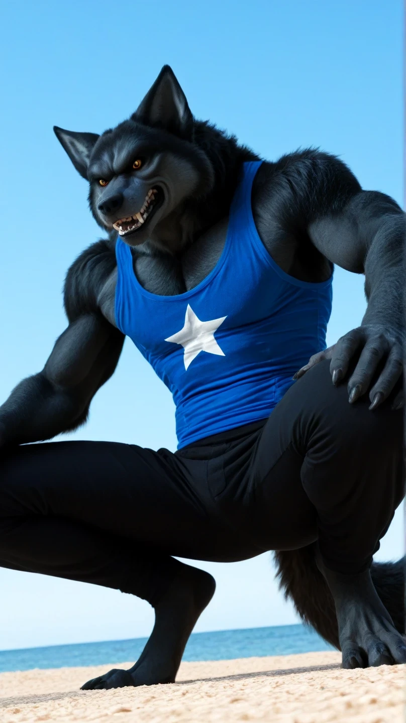Male black werewolf, blue tank top, white star print, furry, squatting in the front, squatting , on the outside, cuerpo completo, wolf tail , looking at the spectator, Dark black fur, amber eyes , anthropomorphic wolf, in front al espectador , in front, vista frontal , Ripped and tight pants, on the beach, sky blue, Blue Sea, sunny day, clawed feet, male werewolf, seen from below, perspective from below