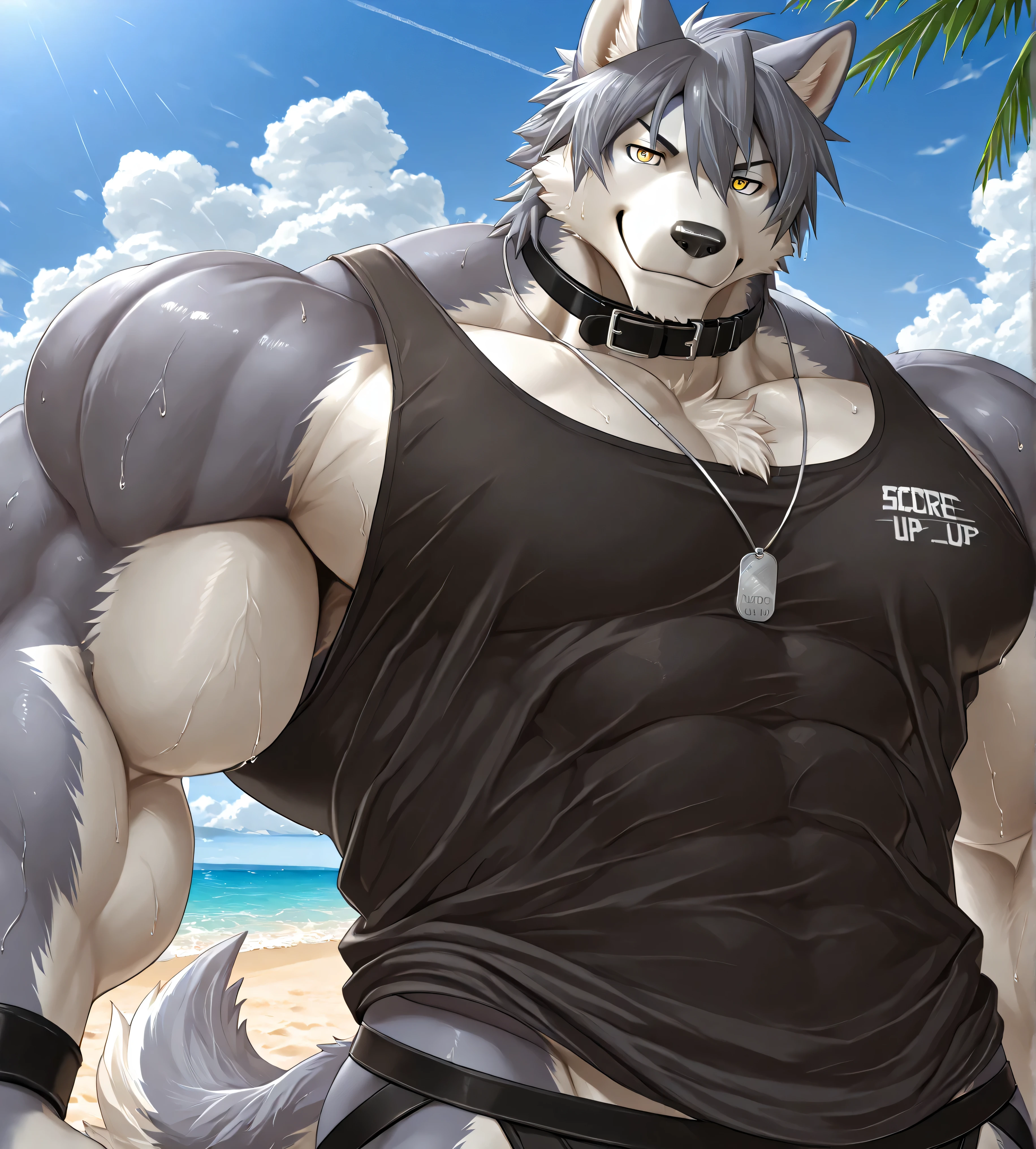 detailed background, low view, beach, close up, solo, alone, rex furry style XL, score_9_up,score_8_up,score_7_up,score_6_up,score_5_up,score_4_up, BREAK kemono, bara, furry, 1boy, anthro, kouya_aotsuki, husky, morenatsu, yellow eyes, dog tag, gray fur, macro, huge muscular, black collar on neck, tail, male, posing, bedroom eyes, sweaty, black tank top, serious, smile, huge black jockstrap, huge bulge in black jockstrap, looking down at viewer, upper body shot, reclamon