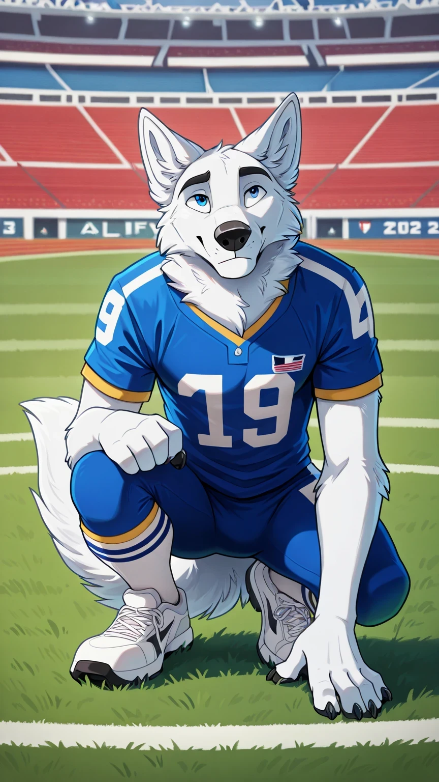american football stadium background, Eye blue, Reflections,  full body, antropomorfico, Adult Wolf, without humans,   by ango76 ,    Masterpiece, better quality,very aesthetic, newest,  anthropoid, mammal, a boy, Clothes, Alone, byry, byry Macho, macho focuS, blue eyes, postura bipeda in front, Male Wolf,male white wolf furry, by, squatting posture, squatting, claws,  animal ears, high resolution, blue color american football jersey,  lycra american football tights white, white sneakers, wolf tail, in front