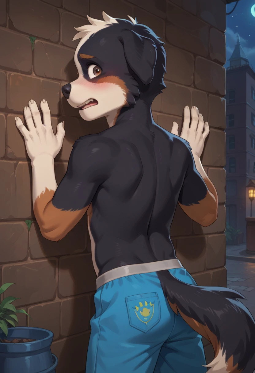 Blue Lucario, , male, sweaty , facesitting, Lucario sitting on face , gay, Tail, Little eevee, suffocation
