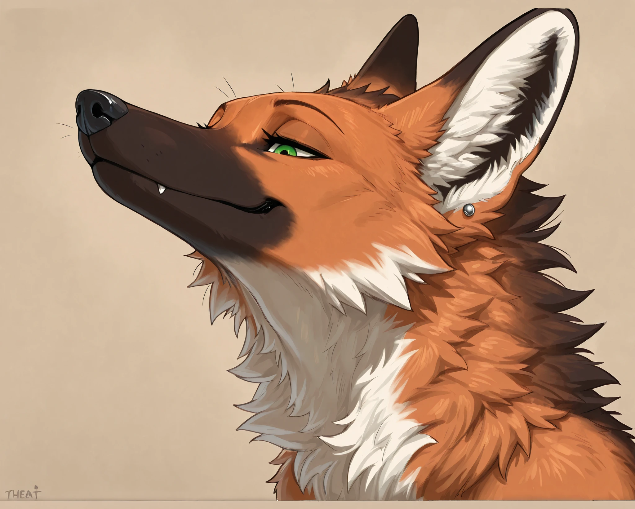master, best quality, amazing quality, absurd, extreme detail, 8k, detailed eyes, green eyes, alone, maned wolf,furry, closed mouth ,mouth shot, throat shot,seductive face, (dark background), silver ear piercings, long eyelashes