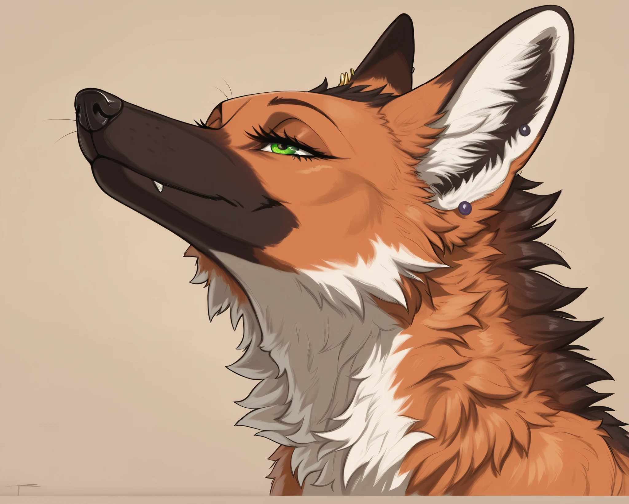 master, best quality, amazing quality, absurd, extreme detail, 8k, detailed eyes, green eyes, alone, maned wolf,furry, closed mouth ,mouth shot, throat shot,seductive face, (dark background), ear piercings, long eyelashes