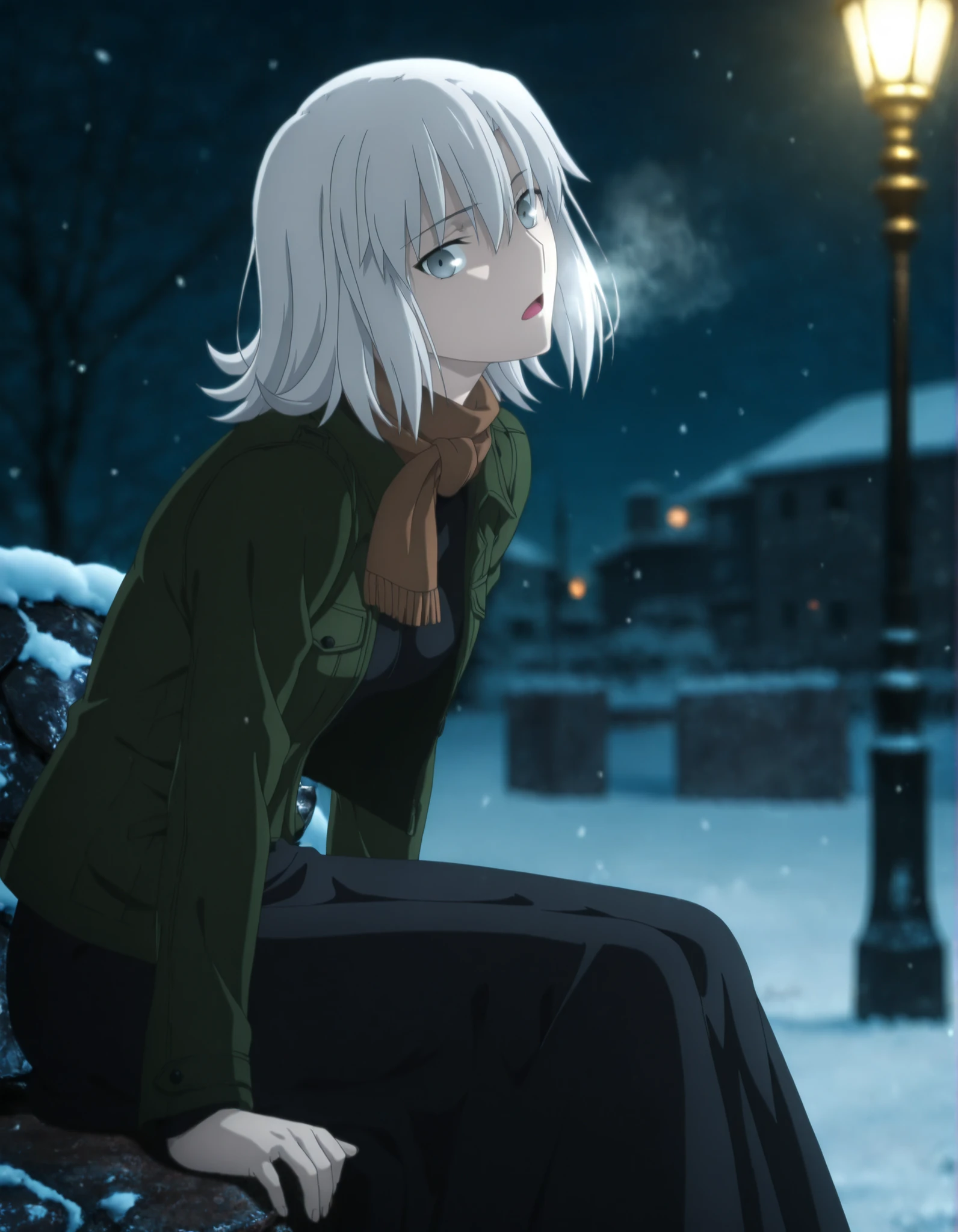masterpiece, best quality, amazing quality, highres, absurdres, very aesthetic, highres, high resolution, highly detailed, intricate details, ultra detailed, perfect details, absurdres, very awa, very aesthetic, newest, outdoors ,(dark, midnight), from side, snow, dark, city, , night, lamppost, photo background, blurry background,
1girl, ufotable style, anime style, (kara_no_kyoukai), (anime coloring), (anime screencap) ,(aged up), (open mouth, heavy breath),
girl, mature, slim body, slender body, ,Fate Grand Order, fate, Fate Grand Order, medium hair, pale skin, gray eyes, white hair, flipped hair, bangs ,(sitting), looking at viewer, head tilt, leaning forward,
(black long one-piece), ((dark green quilted jacket)) ,turtle neck, black long dress, break ,plaid brown scarf ,(small breasts), ,