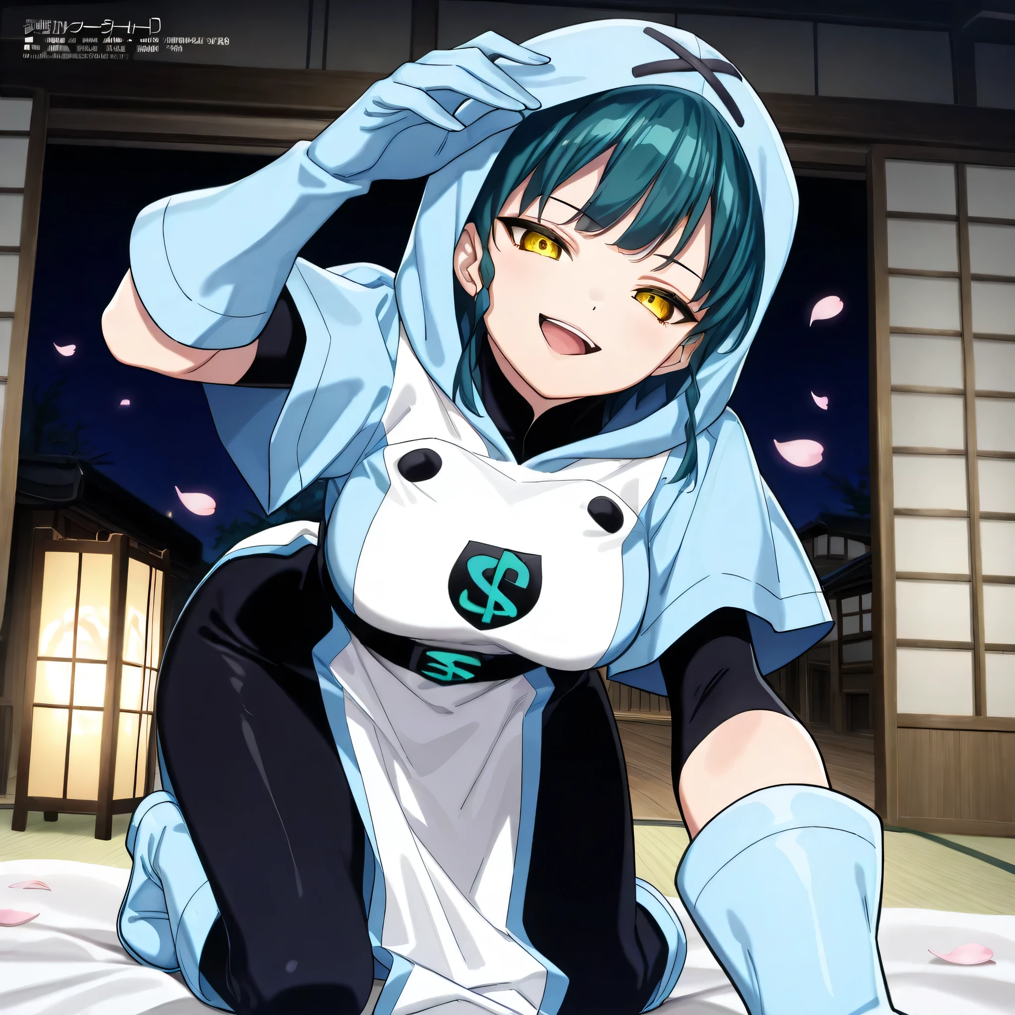  (((Masterpiece))), (((Best Quality))), ((Super Detail)), ultra-High resolution, score_9,score_8_up,score_7_up,score_6_up,score_5_up,score_4_up, BREAK, source_anime, anime screencap, uncensored, Masterpiece, (absurdres), (detailed background), (very aesthetic), detailed beautiful eyes, outstanding, an exquisite animation illustration, curvy, highres, dark persona, (((hood, hood up))), bodysuit under clothes, black bodysuit, light blue surcoat, light blue shirt, short sleeves, black sash, light blue gloves, light blue boots, (((solo, 1girl))), hair ornament, seductive pose, submissive pose, anime style, anime coloring, animification, megami magazine, sexy pose, medium breasts, tbzuma, yellow eyes, hairband, dark teal hair, wide hips, bangs, smile, open mouth, japanese architecture, all fours, bedroom, futon, night, dark room, flower, petal, wind, windy, tilt head, head tilt, incoming headpat, pov, outstretched arm, reaching, reaching towards viewer, looking at viewer,