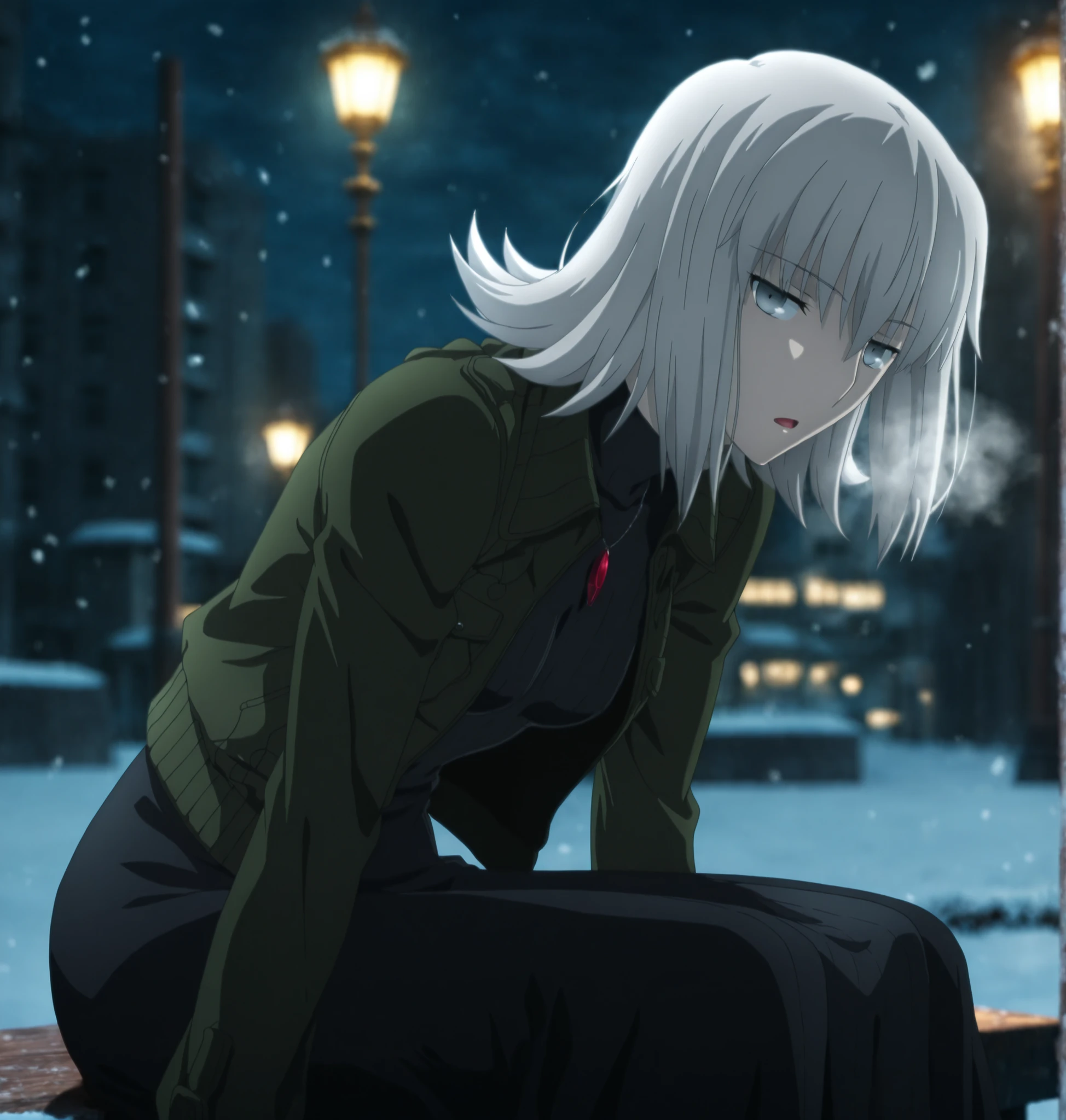 masterpiece, best quality, amazing quality, highres, absurdres, very aesthetic, highres, high resolution, highly detailed, intricate details, ultra detailed, perfect details, absurdres, very awa, very aesthetic, newest, outdoors ,(dark, midnight), from side, snow, dark, city, , night, lamppost, photo background, blurry background,
1girl, ufotable style, anime style, (kara_no_kyoukai), (anime coloring), (anime screencap) ,(aged up), (open mouth, heavy breath),
girl, mature, slim body, slender body, ,Fate Grand Order, fate, Fate Grand Order, medium hair, pale skin, gray eyes, jitome ,white hair, flipped hair, bangs ,(sitting), looking at viewer, head tilt, (leaning forward),
(black long one-piece), ((dark green quilted jacket)) ,turtle neck, black long dress, break brown muffler,(small breasts), ,