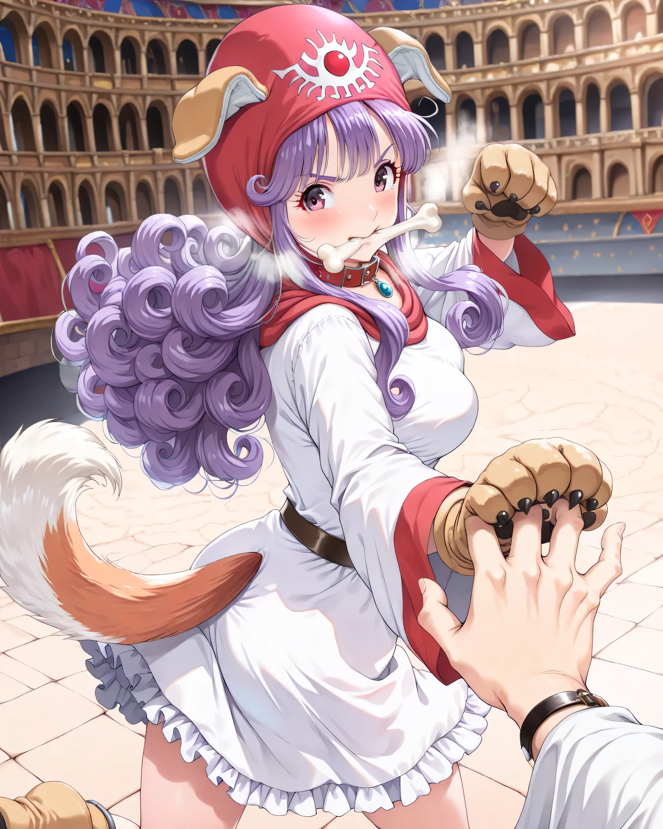 ((言語: 日本語、英語)、(Masterpiece), (Highest Quality), (High Score), (High Resolution),(4k),Uncensored,),
(masterpiece, best quality, very aesthetic)
((屋外)、1girl,,solo,),
（正常な足の描写、正常な体の構造）
(,(Ancient Rome, Colosseum, stone stage),,,(pov,man's hands fighting pose),,,(Anatomically accurate structure),),

((,BREAK,(game cg),))

((mature woman,Princess of Moonbrook,dragon quest,purine,dq2,purine,purple hair,bangs,long hair,long sidelocks,curly hair,bright purple eyes,Pupil,Eyebrows visible through hair,eyelashes,red hood,hood up,(Dog Ear Hoodie),white short dress with red lines,long sleeves,wide sleeves,white robe,Leotard, frilled skirt,,(dog boots),(dog aer),(Dog's tail),(Dog gloves),(dog collar),(medium breasts),),((bashful),(breath),blush,),BREAK,(standing :),(paw pose:1),(bent knees:0.5),,(twisted torso:1.2),[looking back:],[cowboy shot:],[three-quarter view:1.5],[dutch angle],(Big bone,Bone in mouth),(Biting into the bone)、),

(お尻は露出しない),
（ハイスコア）、（最上級の画像生成）、
(The correct number of fingers, five fingers),
