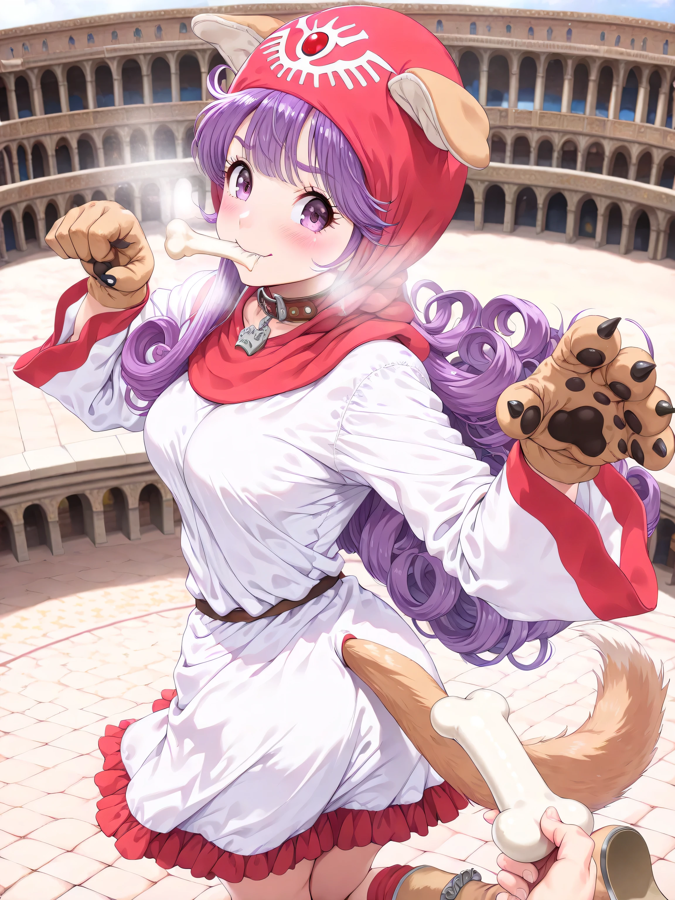 ((言語: 日本語、英語)、(Masterpiece), (Highest Quality), (High Score), (High Resolution),(4k),Uncensored,),
(masterpiece, best quality, very aesthetic)
((屋外)、1girl,,solo,),

(,(Ancient Rome, Colosseum, stone stage),,,(pov,man's hands fighting pose),,,(Anatomically accurate structure),),

((,BREAK,(game cg),))

((mature woman,Princess of Moonbrook,dragon quest,purine,dq2,purine,purple hair,bangs,long hair,long sidelocks,curly hair,bright purple eyes,Pupil,Eyebrows visible through hair,eyelashes,red hood,hood up,(Dog Ear Hoodie),white short dress with red lines,long sleeves,wide sleeves,white robe,Leotard, frilled skirt,,(dog boots),(dog aer),(Dog's tail),(Dog gloves),(dog collar),(medium breasts),),((bashful),(breath),blush,),BREAK,(standing :),(paw pose:1),(bent knees:0.5),(knees together feet apart:1),(twisted torso:1.2),[looking back:],[cowboy shot:],[from above:1.5],[three-quarter view:1.5],[dutch angle],(Big bone,Bone in mouth),(Biting into the bone)、),

(),
（ハイスコア）、（最上級の画像生成）、
(The correct number of fingers, five fingers),

