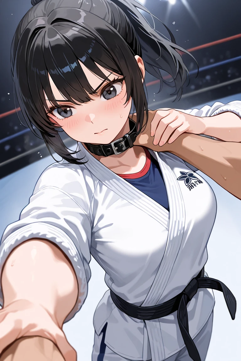 (masterpiece、highest quality、High resolution、Realistic photo、Real looking skin:1.1)、
(The woman is a judo player:1.5)、
(It's a happy expression:1.5)、
(The upper body is only wearing a pure white long-sleeved gi and a T-shirt, and the belt is a black belt.:1.8)、
(The lower half is only :1.8)、
(The  are simple white cotton.:1.5)、
(Black hair in a medium ponytail:1.5)、
(The place is a judo hall:1.5)、
1 Japanese Girl、solo、Full Body Esbian、Beautiful Eyes、Shining Eyes、Shining thighs、