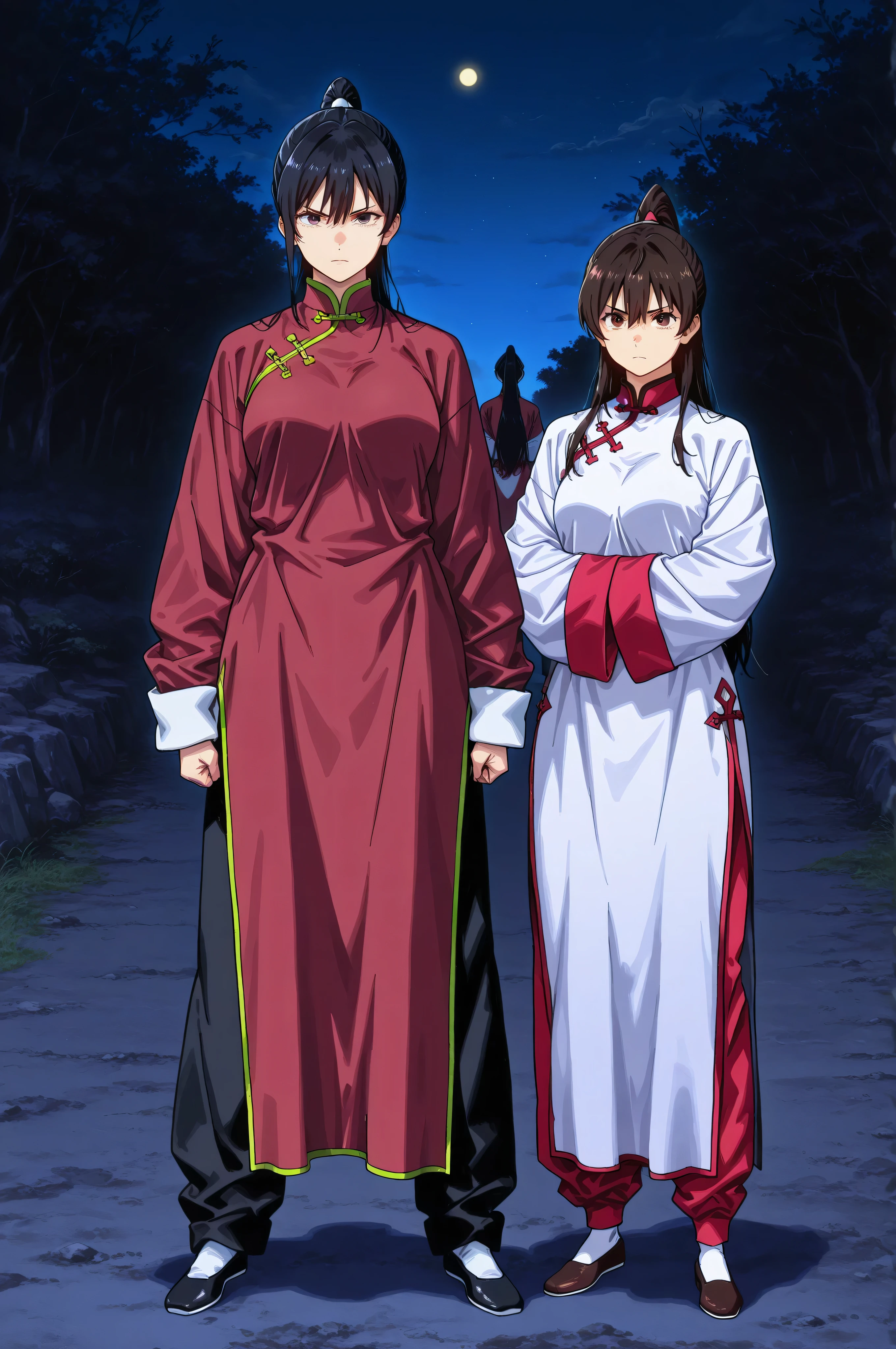chinese clothes,KungFuUniform,score_9, score_8_up, score_7_up, gsfghtr, multicolored robe, 2girls, outdoor , serious, long ponytail, kohei horitoshi, invited, night, mature female, full body, hide arms in sleeves dress,