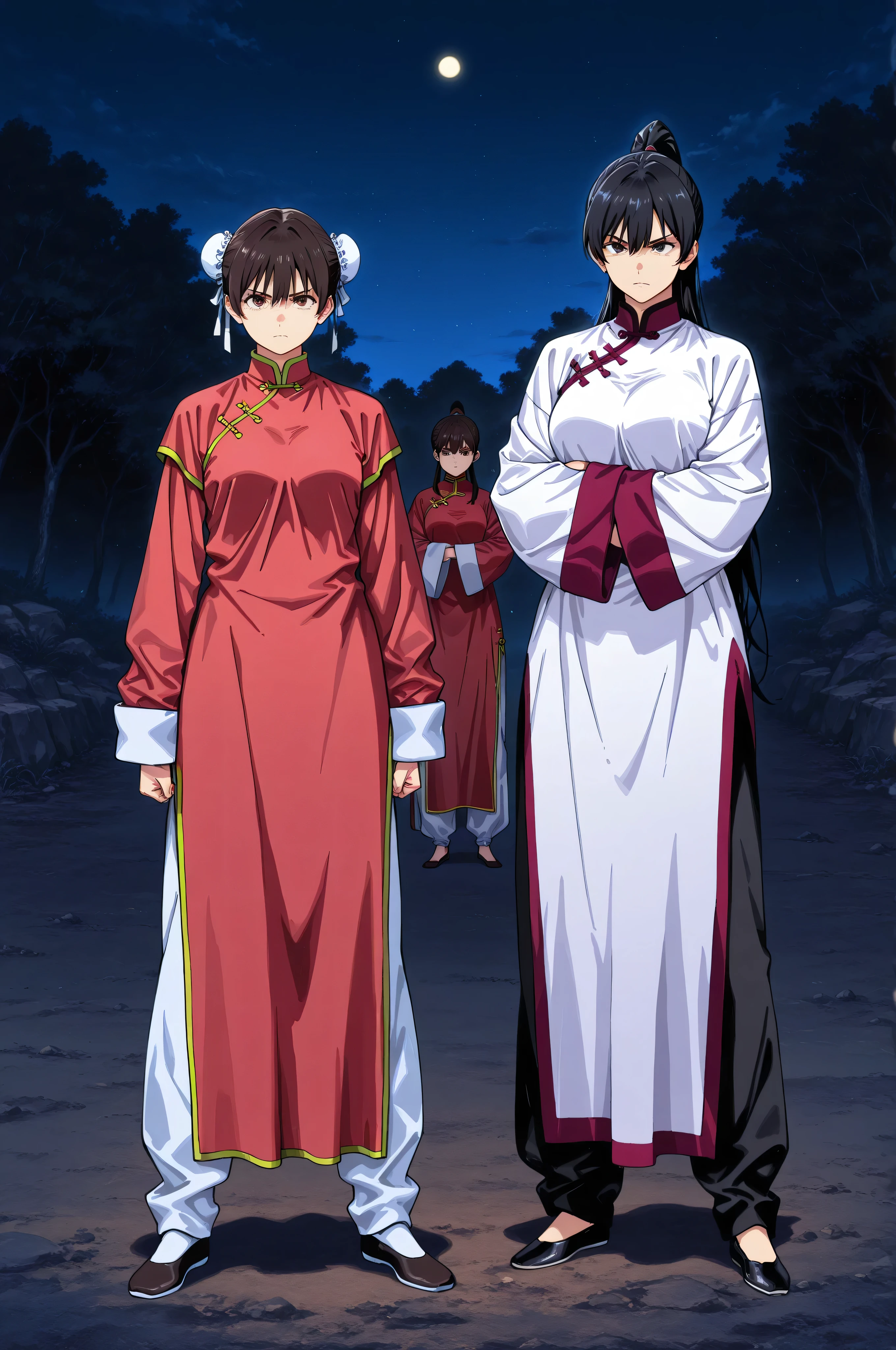 chinese clothes,KungFuUniform,score_9, score_8_up, score_7_up, gsfghtr, multicolored robe, 2girls, outdoor , serious, long ponytail, kohei horitoshi, invited, night, mature female, full body, hide arms in sleeves dress,