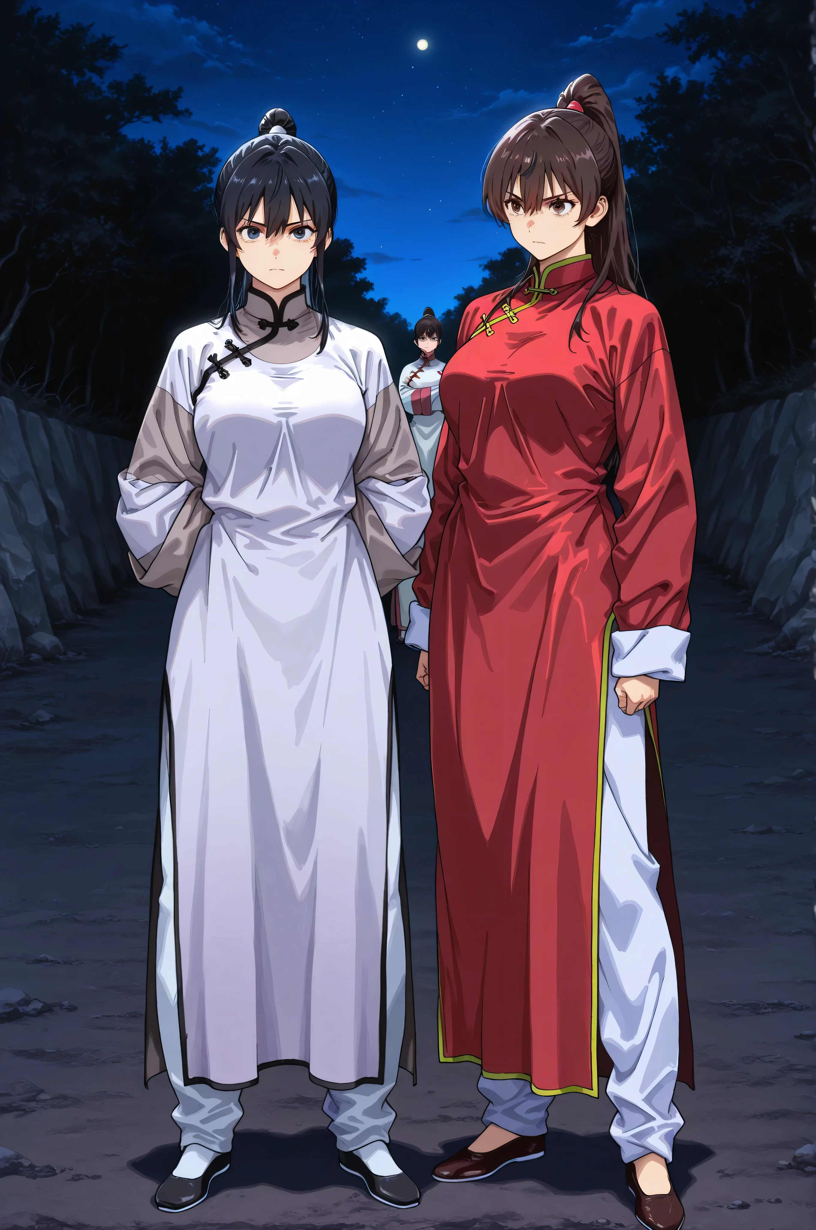 chinese clothes,KungFuUniform,score_9, score_8_up, score_7_up, gsfghtr, multicolored robe, 2girls, outdoor , serious, long ponytail, kohei horitoshi, invited, night, mature female, full body, hide arms in sleeves dress,