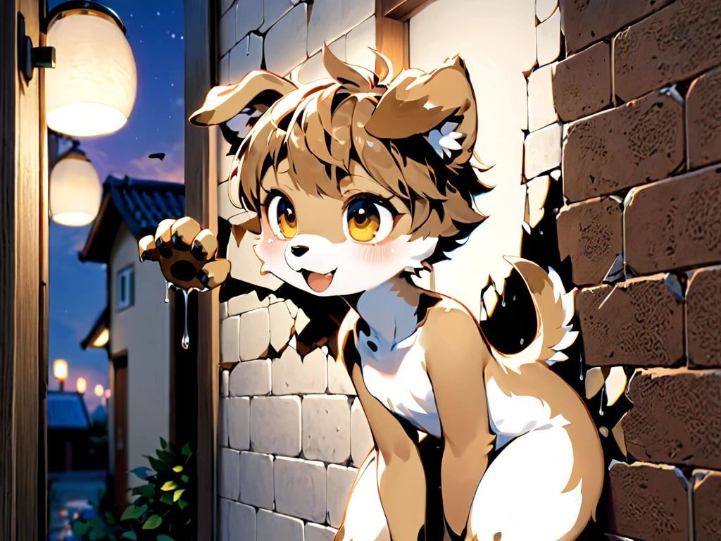 Civet cat, Little Boy, cute, (alone), (((Has brown and white fur))), Big purple eyes, Blushing, smile, Open your mouth, walking, night, Ancient Asian cities, bright street lights, Blue and black slate road, Empty Streets, Starry Sky, Shadow, Detailed  depiction, ((Accurate hand drawing)), レンブラントの光とShadow, Ultra-fine，Completely ，，，，quadruped，Quadrupedal，