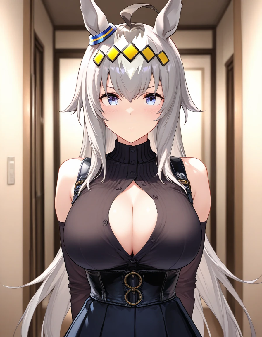 Lori ???????????? cleavage，White hair，red pupils，flatchest，Bust photo