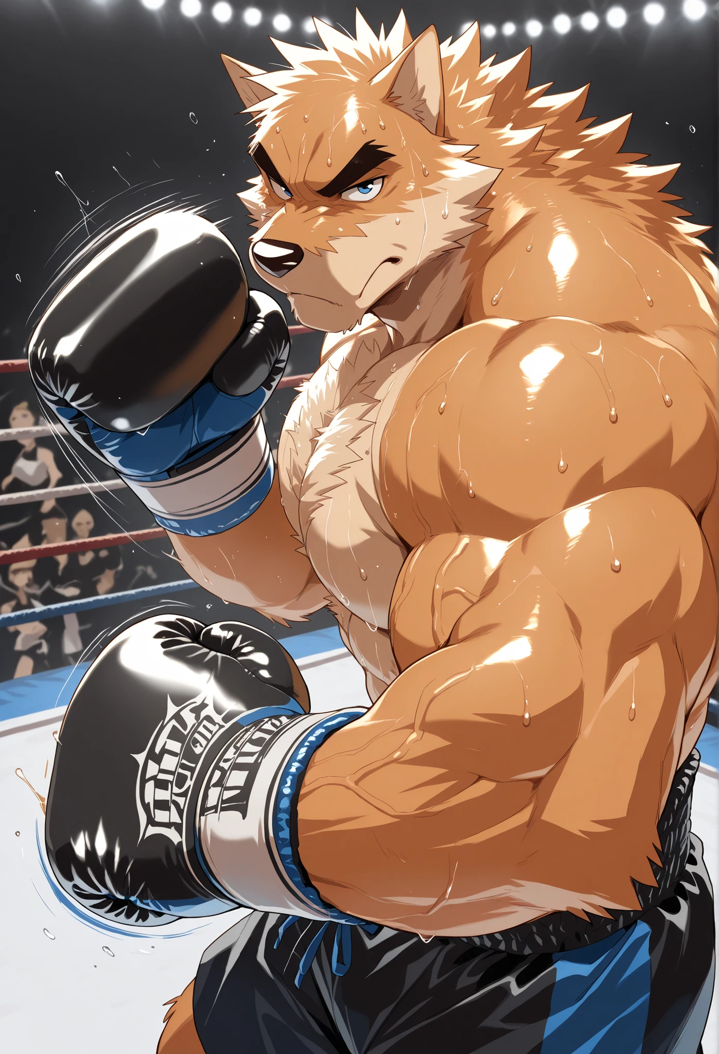 Realistic like a real photo style, pov_boxing, Otake Takemoto strengthful predator heavy wait boxing champion, orange fur, sharp blue eyes, thick eyebrows, thick  hair, thick public hair, fiercely barrage of punching_the_viewer, foreshortening, motion blur, navy boxing gloves, black boxing shorts with blue side lines, depth of field, extreme perspective, extreme closeup, closeup, action shot, boxing, delivering a devastating punch, motion lines, impact lines, ferocious devastating punching viewers, throws a devastating punching and knock out the viewer, devastating punching the viewers face, boxing ring background, furry male, heavy muscular, very strong muscular arms with prominent veins, looking at viewer, grumpy expression, thick veiny large pectorals, wearing navy boxing gloves, burning fighting spirit, sweaty body, The moment of the devastating punch, The impact of a devastating punch, very strong muscular arms with prominent veins, The coldly figure of a ferocious predator