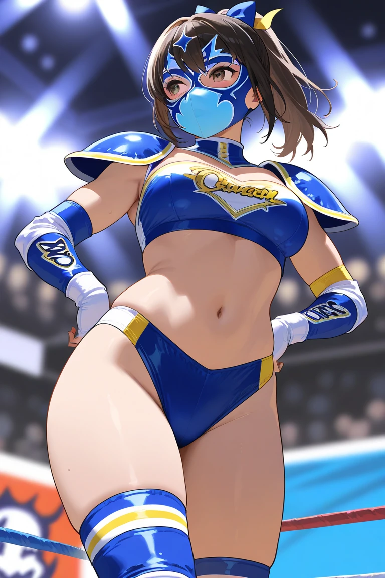 cowboy shot, anime style: 1.8, anime picture, super detailed face, Super detailed body, 4k, Schmergay Lee Noriega, (Are standing, put your hand on your waist), highest quality, anime style, hire, highest resolution, digital blending, bold drawn lines, ((slender body, crooked: 0.4, female wrestler), (Location: wrestling arena, crowd watching), (slender body, broad shoulders), mature woman, ((Black Wrestling Gear: Cotton Leotard, boots, gloves, architrave, Black Gear)), won, nice, winner, smile, (pale skin, shiny skin), (big breasts), (Big eyes, Brown eyes), (warming up), (Brown, long hair), 27 years old,