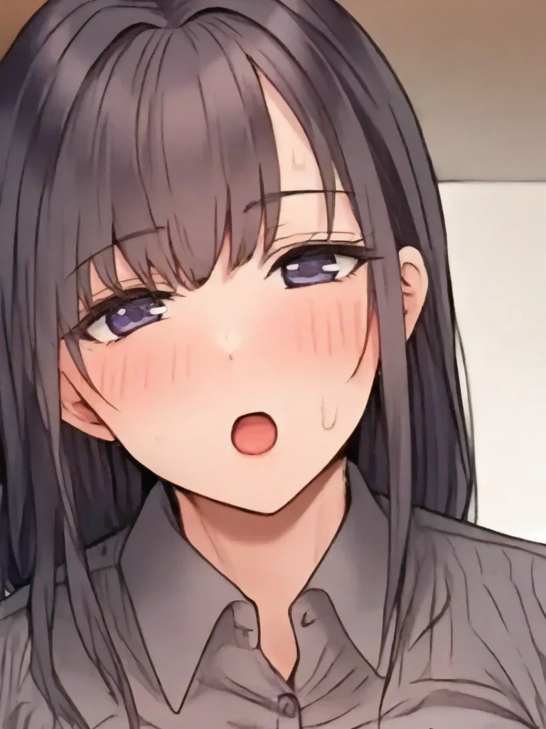 IIlustrious-2025-12-3012 v1.0