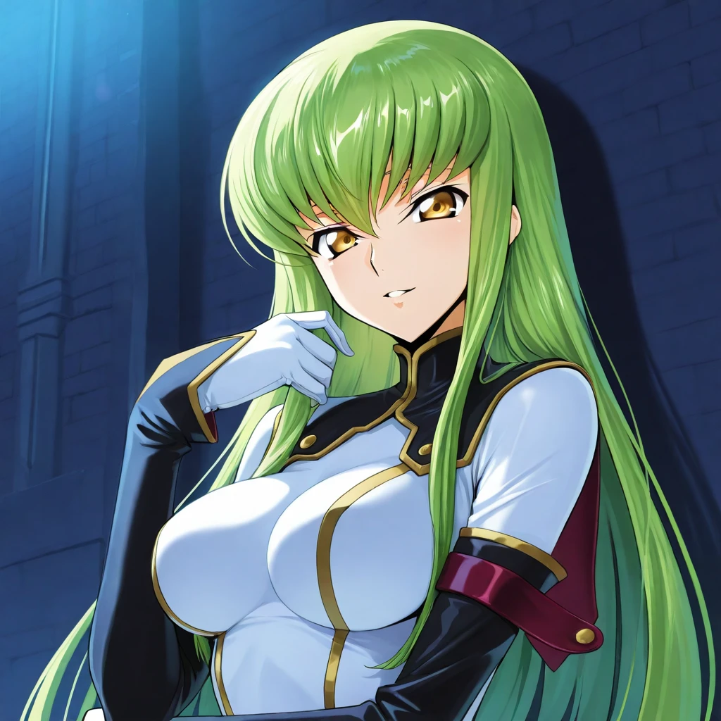 C.C - Code Geass - IllustriousXL v1