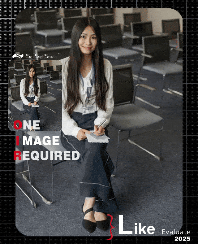 IVD1.0  📌 Princess 🚩 