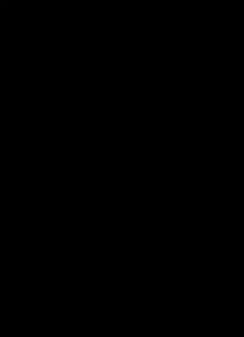 镜面自拍舞 (包括换脸)